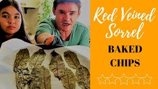 Kale Inspired Red Veined Sorrel Baked Chips Recipe [upl. by Aifas]