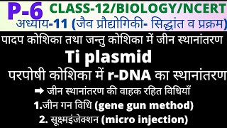 CLASS12C11PART6पादपजन्तु कोशिका में जीन स्थानांतरणपरपोषी कोशिकाजीनगन विधिसूक्ष्म इंजेक्शन [upl. by Bish855]