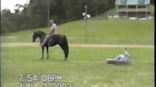 Speed Gaited Horse  The Virginia Undertaker [upl. by Lorilee]