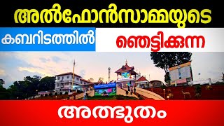 St Alphonsas Tombവിശുദ്ധ അൽഫോൺസാമ്മയുടെ കബറിടം [upl. by Lagas]