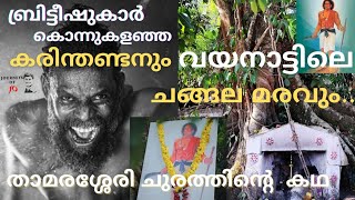 Chain tree WayanadChangala MaramKarinthandan SmarakamVinayakan filmWayanad malayalam travel vlog [upl. by Libby]