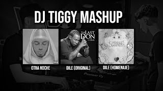 DILE x OTRA NOCHE  Tiggy Mashup 3 [upl. by Ahseei]