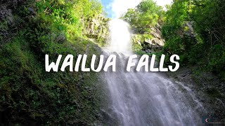 Wailua Falls is the best shorthike waterfall on the east side of Maui [upl. by Nella259]