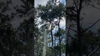 subscribe to our YouTube channel Ronnies Tree Service Tree Service cleveland tn [upl. by Nonnah612]