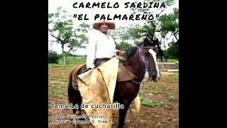 LA DE CUCHARILLAel Palmareño [upl. by Joy]