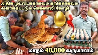 சொனாலி கோழி வளர்ப்பில் மாதம் 40000 வருமானம்  sonali chicken farm in tamil  poultry farm [upl. by Canice]