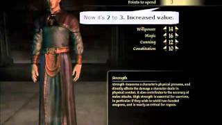 PCDragonAgeOrigins MAX STATSSKILLSSPELLS TUTORIAL [upl. by Celinka418]