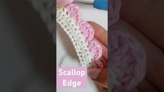 Scallop Edge crochet crochetpattern  crochetedge cutecrochet howtocrochet crochetprojects [upl. by Odlaumor]