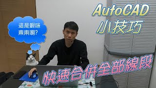 AutoCAD  OVERKILL  快速合併全部線段 2020 [upl. by Nepets]