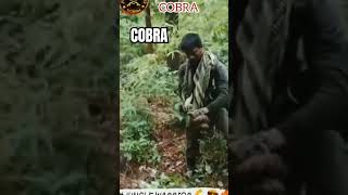 Para commando attitude status  Commando Short video [upl. by Nic]