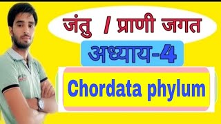 chordata phylum ssc rpsc 2nd grade teacher NTPC railway 11 biology by Anil dhaka [upl. by Ida]