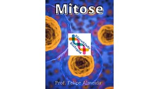 Mitose celular  Prof Felipe Almeida [upl. by Eyar842]