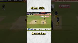 Top best catches 🏏cricketshorts [upl. by Ahcsas]