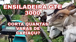 ENSILADEIRA GTE 300 CORTA QUANTAS VARAS DE CAPIAÇU DE CADA VEZ [upl. by Hickey364]