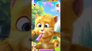 Gingercat Whistles Funny 🥳🪺🍭♨️💃🔮🍕🍬 [upl. by Sykes513]