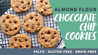 The Best Almond Flour Paleo Chocolate Chip Cookie Recipe [upl. by Ellita]