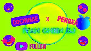 COCHINAE X PERREA  IVAN CHEIN DJ MASHUP [upl. by Inihor]