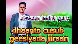 DHAANTO CUSUB ABWAAN INDHA YARE MUSIC 🎵2024 [upl. by Atihana]