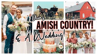 What We Did in Holmes County  Wedding Day  Week In the Life of a Mennonite Family [upl. by Llet502]