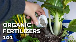 14 Organic Fertilizers and How to Use Them [upl. by Lyndsey]