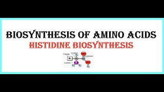 BIOSYNTHESIS OF AMINO ACIDSHistidine biosynthesis [upl. by Behn126]