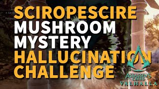 Sciropescire Mushroom Mystery Hallucination Challenge Fly Agaric Assassins Creed Valhalla [upl. by Arley]