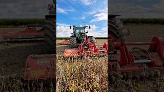 FENDT tractor with three Kuhn flail mowers tackling a cover crop [upl. by Zena]