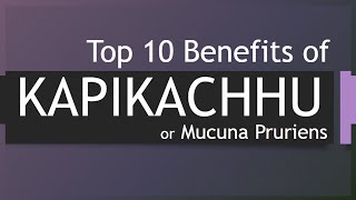 Top 10 Benefits of Kapikachhu  Health benefits of Kapikachhu  Herb Kapikachhu [upl. by Bayless402]