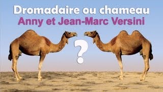 Anny Versini JeanMarc Versini  Dromadaire ou Chameau  Clip officiel [upl. by Weinert137]