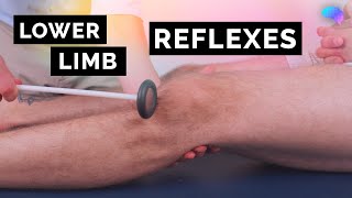 Reflexes of the Lower Limbs  OSCE Clip  UKMLA  CPSA [upl. by Assanav]