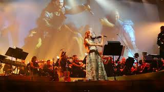 Ramin Djawadi  Game Of Thrones Live  Reign [upl. by Xantha318]