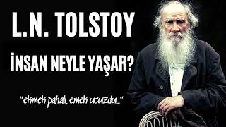 LN TOLSTOY  İnsan Neyle Yaşar  Sesli Kitap Dinle [upl. by Nuahc]