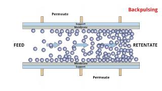 POREX® TMF  Cross flow filtration process [upl. by Nivac]