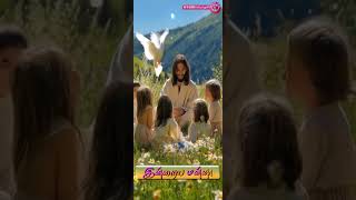 Tamil Prayer indrayamanna revfrarokiadosssdb trendingshorts viralvideo [upl. by Eidnarb]