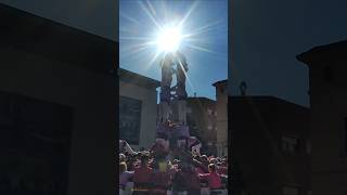 Castellers De Cornellà llegando al Sol ☀️😃shortsvideo castellers [upl. by Eninnaj]