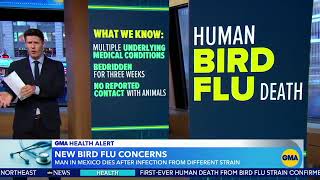 1st fatal human case of bird flu subtype confirmed in Mexico WHO [upl. by Laikeze623]