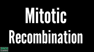 Mitotic Recombination  Mitotic Clone [upl. by Dobbins413]