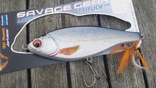 De nieuwe Savage Gear 3D Jerkster Jerkbait [upl. by Ybbed]