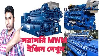 About Mwm Engine Details [upl. by Riada996]