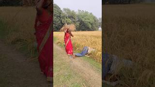 Anita Rajendrashorts shortsvideo shortsfeed youtubeshorts [upl. by Esimorp]