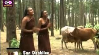 Arsi Oromo music [upl. by Watkin111]