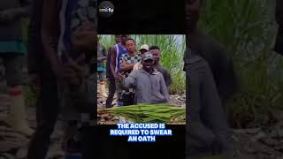 Ancient Lie Detection The Power of Grass and Ancestral Belief in Africa AfricanTraditions shorts [upl. by Ralat136]