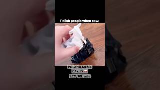 POLISH COW 🐄🇵🇱😂 funny poland memes [upl. by Tihw]