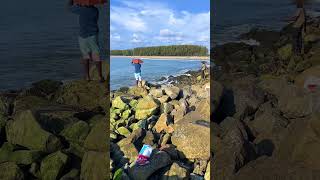 Live bait fishing fishingstrike76 fishing fish kerala [upl. by Santiago41]