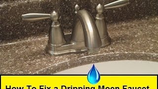 How To Fix a Dripping Moen Faucet HowToLoucom [upl. by Dierdre]