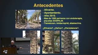 Parte 3  Dr Ing Agr Jose Manuel Llorens  Jornada sobre quotPalmeras y el Picudo Rojoquot [upl. by Alimaj333]