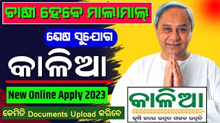 Kalia Yojana New Online Apply 2023 Last Chance Dont Miss [upl. by Tori]