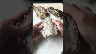 How to Grill Lobster Tails [upl. by Rambert]