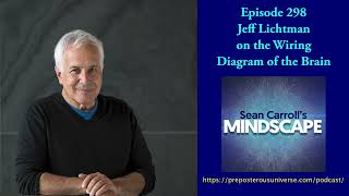 Mindscape 298  Jeff Lichtman on the Wiring Diagram of the Brain [upl. by Bull]