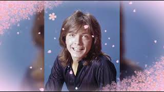 DAVID CASSIDY TRIBUTEJUNKED HEART BLUES [upl. by Notaes]